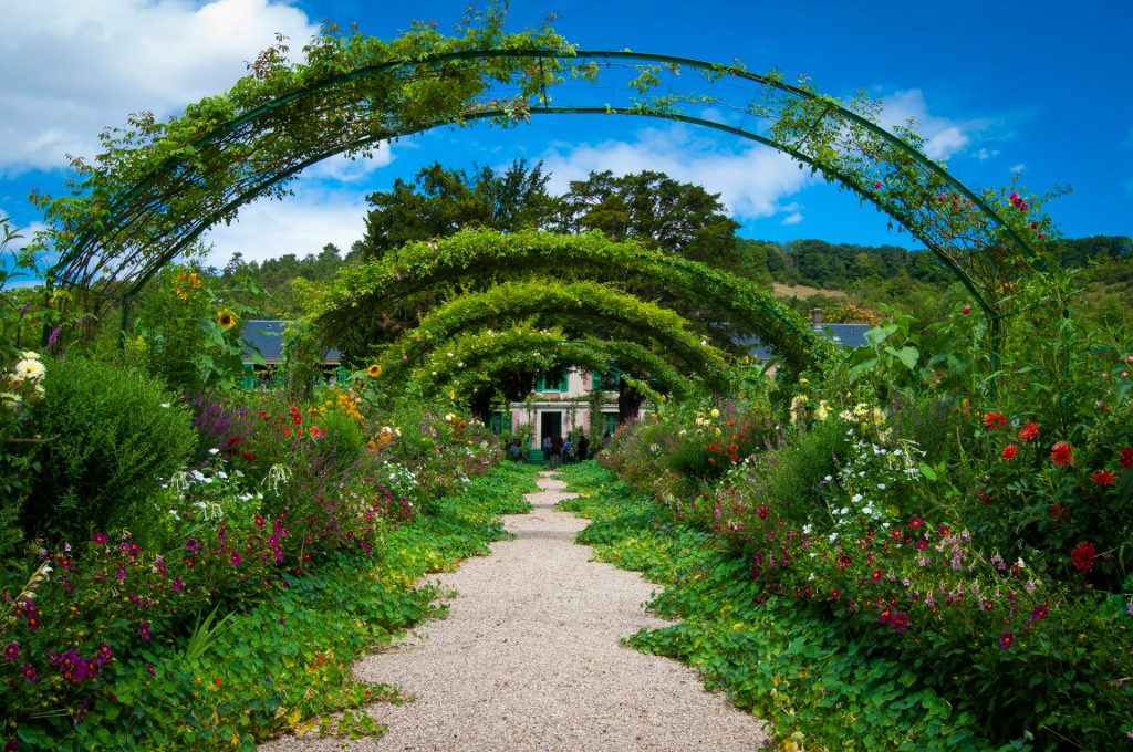 tuinplanten
