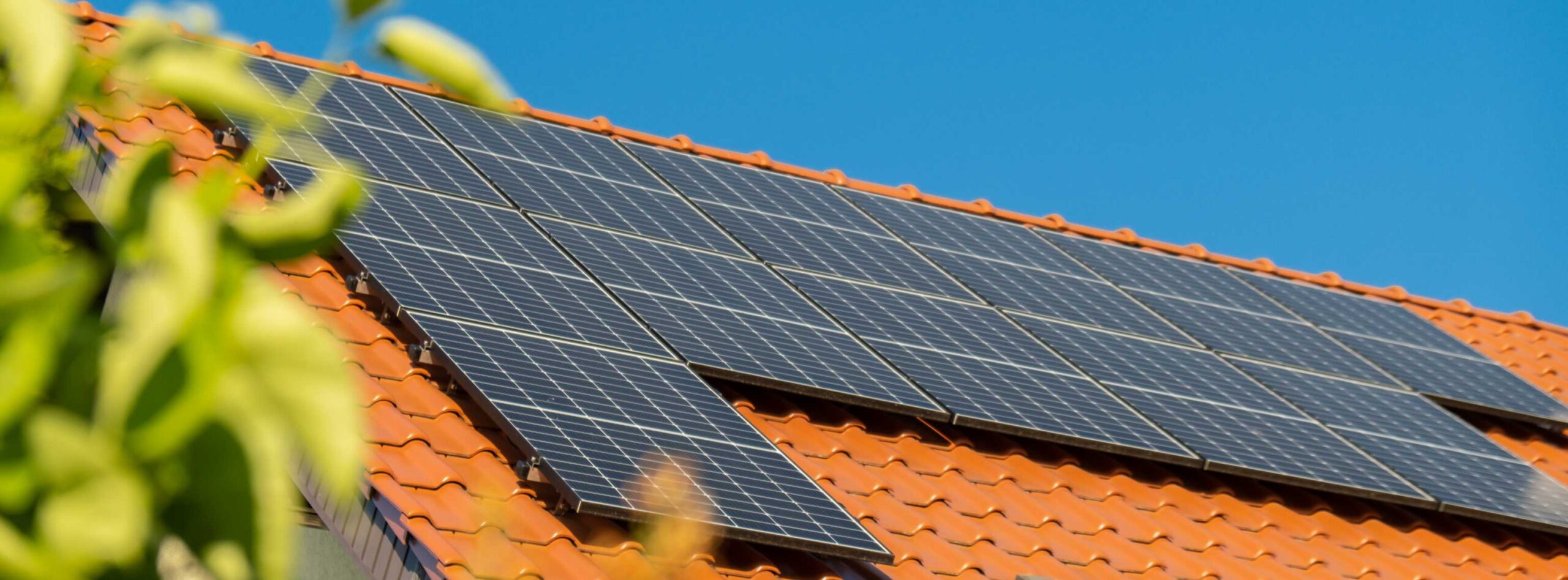 Vogelwering zonnepanelen