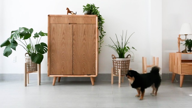Kast