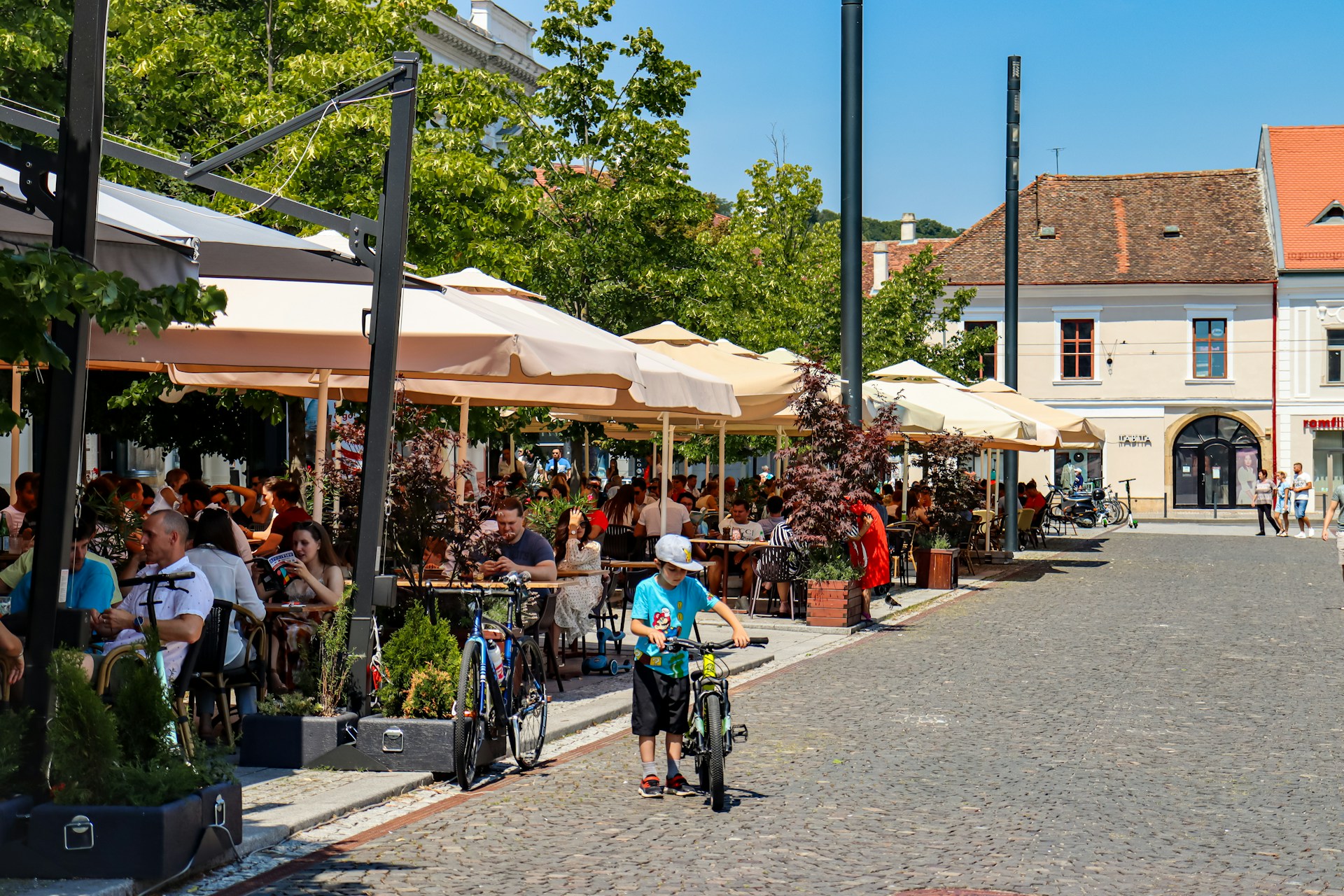 Terrasoverkappingen horeca