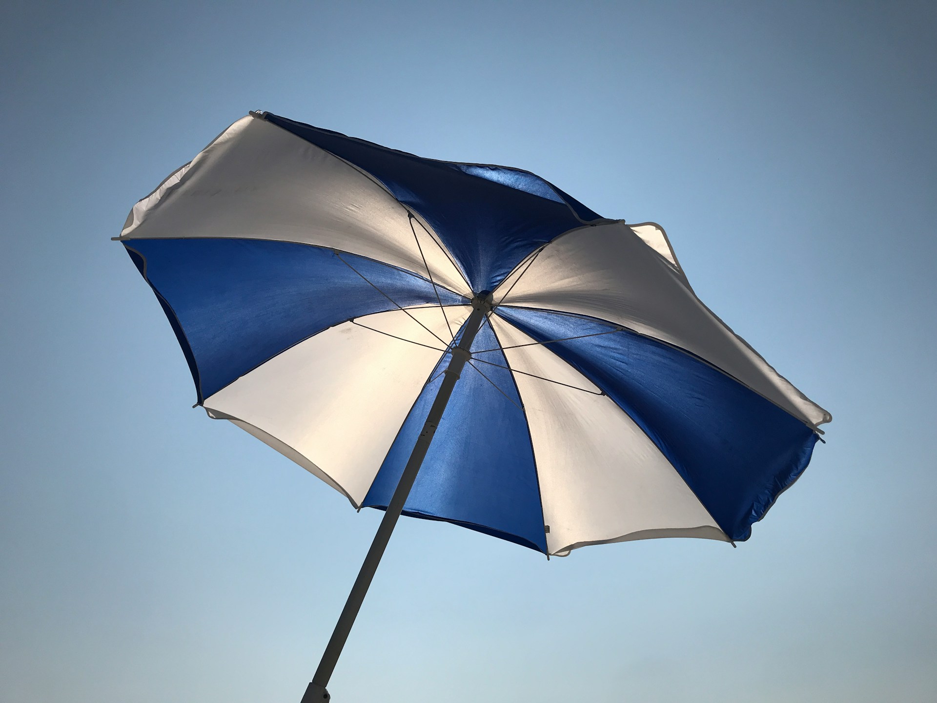 Borek parasol