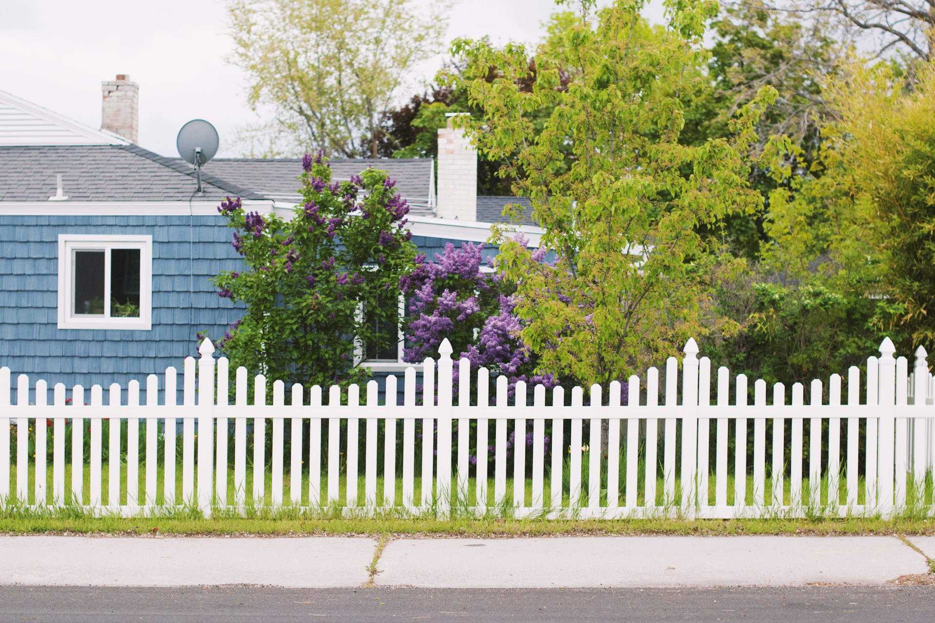 Royal Fence