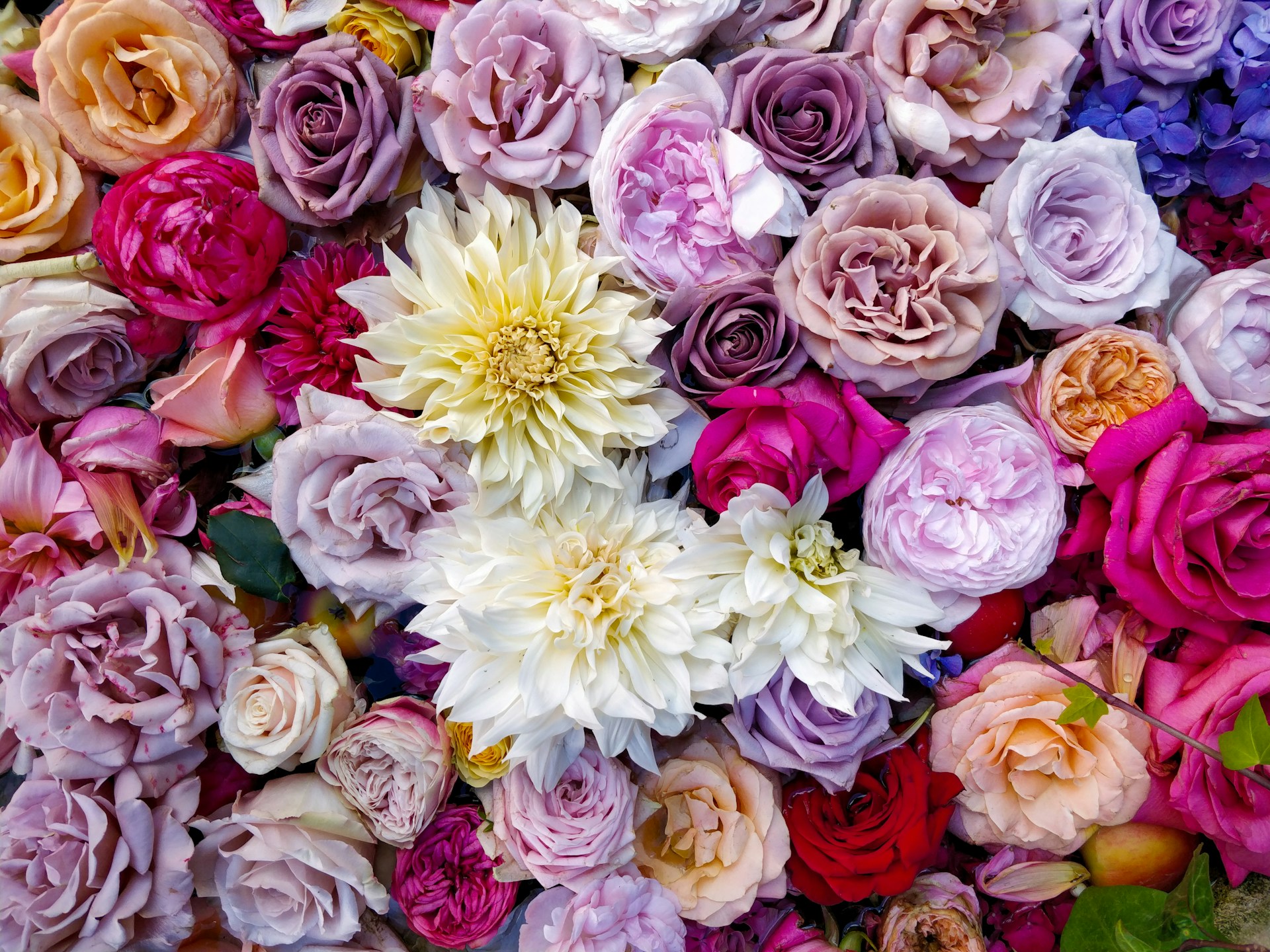 bloemen verrassing