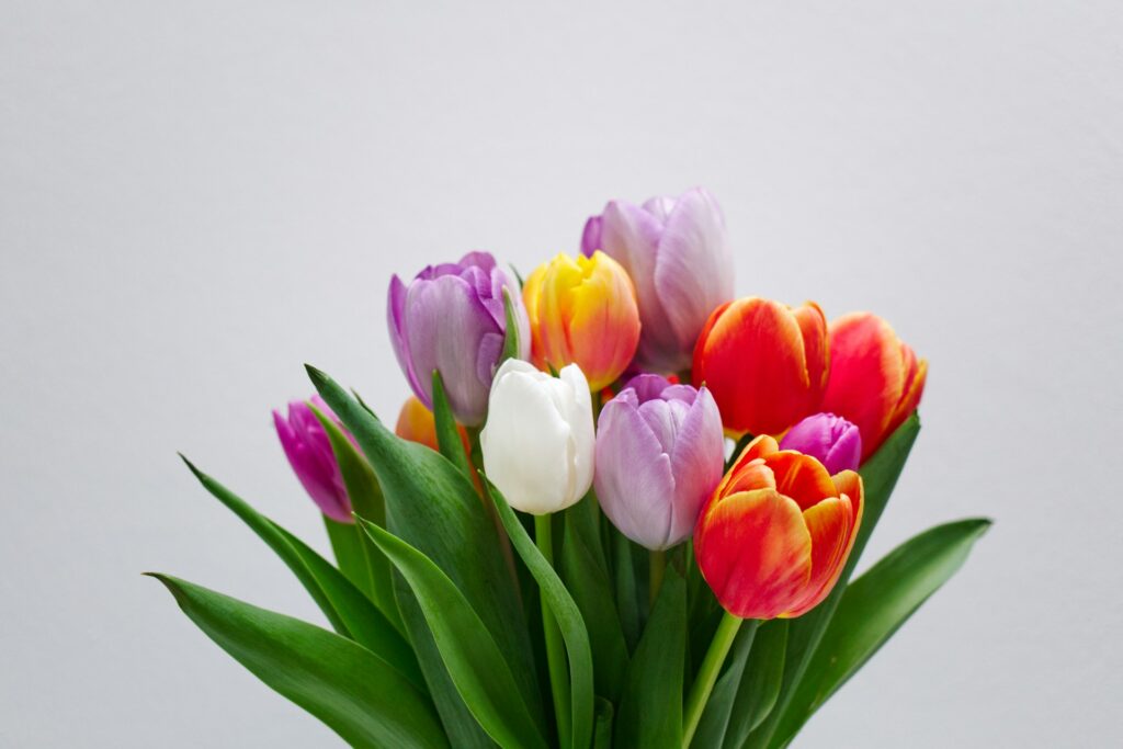 bloemen verrassing